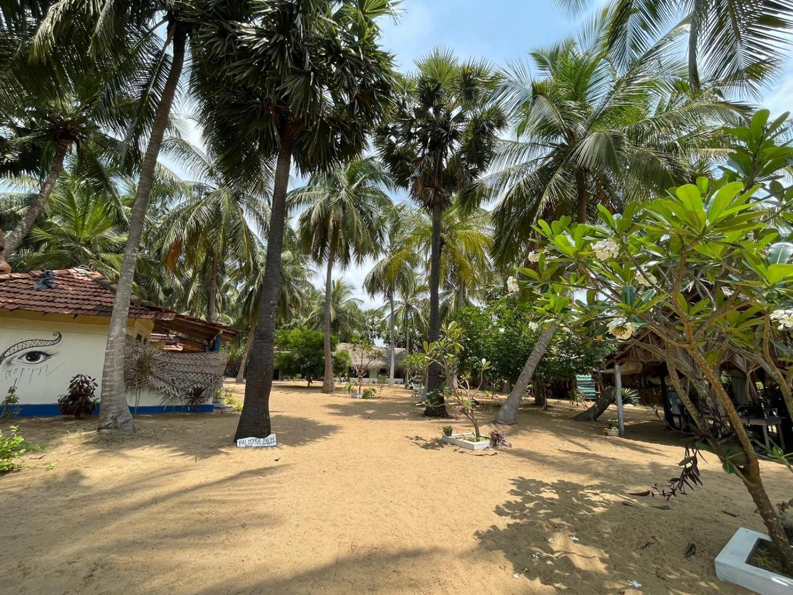 araliya villa Kalpitiya Dış mekan fotoğraf