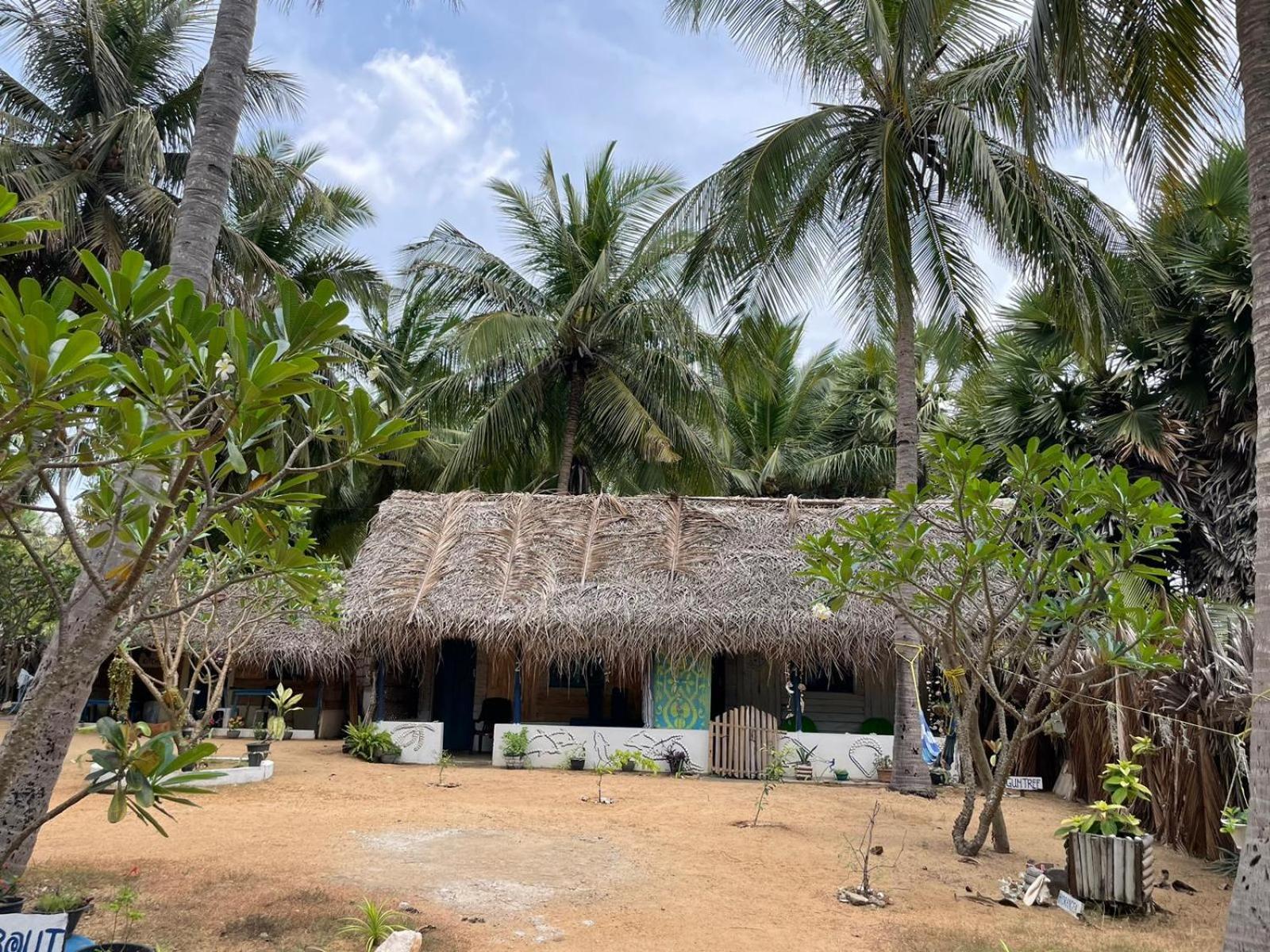araliya villa Kalpitiya Dış mekan fotoğraf